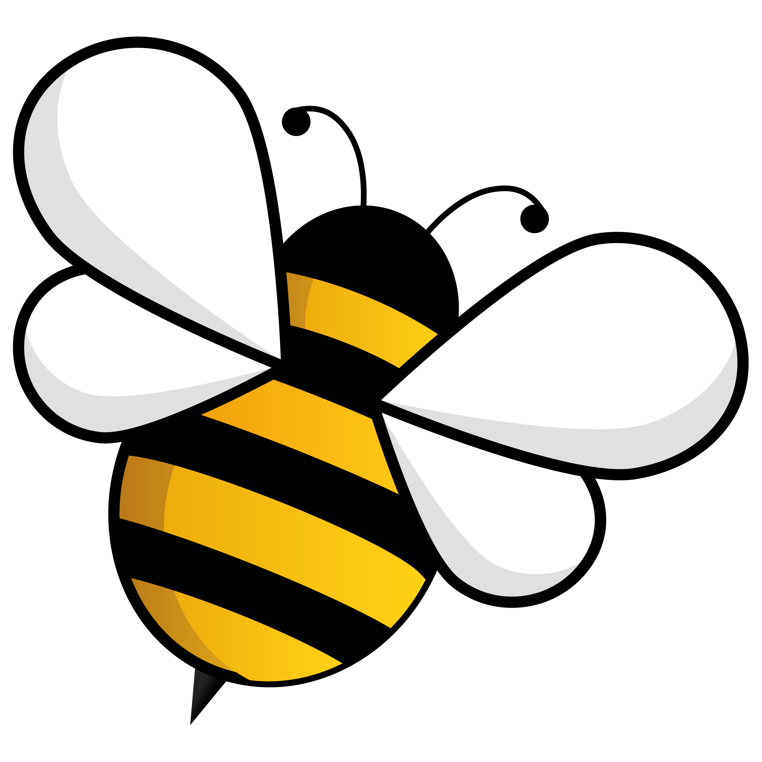 A friendly bee